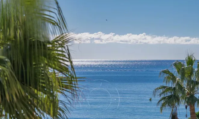 Недвижимость House Cannes Centre-ville: 7