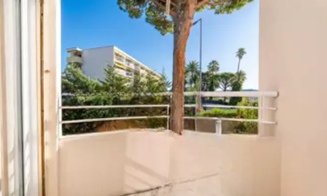 Недвижимость Villa Petit Juas: 21