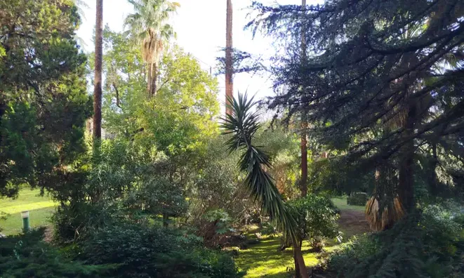 Недвижимость Villa Cannes: 1