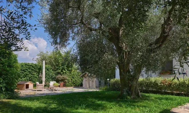 Недвижимость Villa Petit Juas: 7