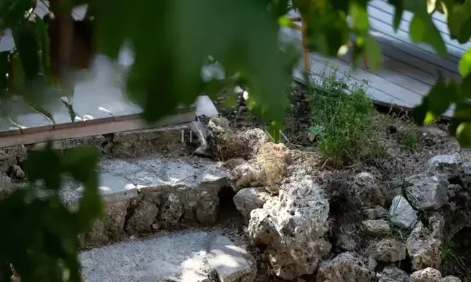 Недвижимость Villa Cannes: 28