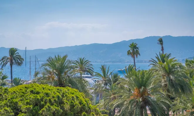 Недвижимость Villa Pointe Croisette: 15