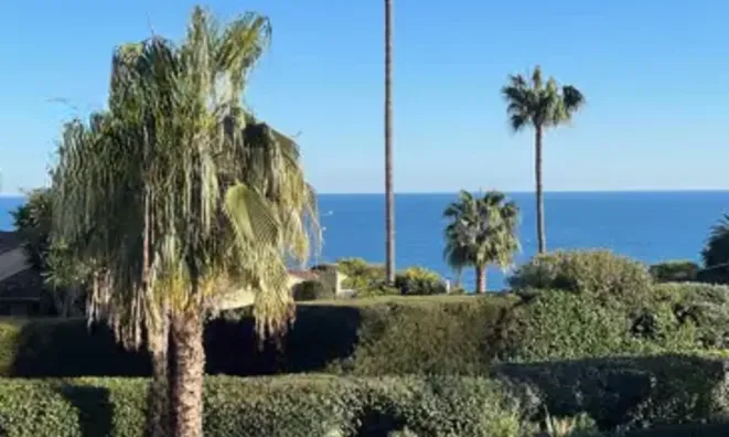 Недвижимость Villa Cannes: 5