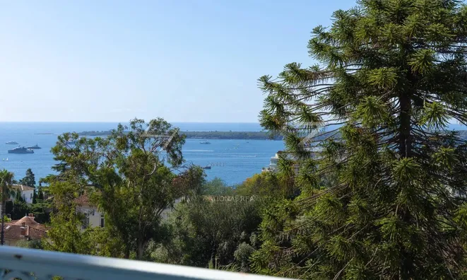 Недвижимость Estate Cannes: 4