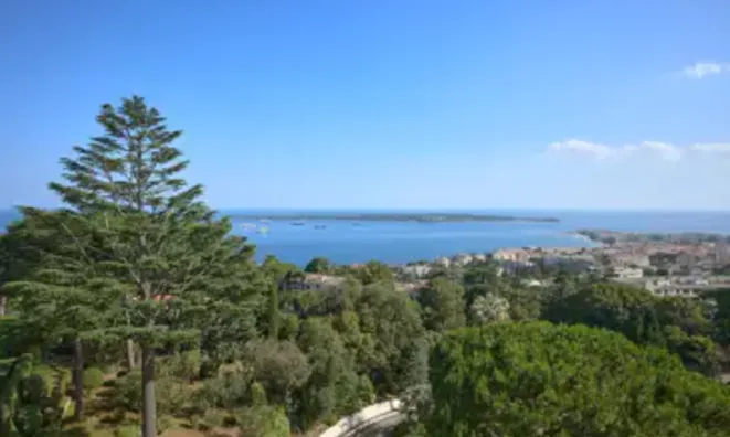 Недвижимость Villa Cannes: 12