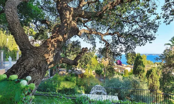 Недвижимость Apartment Cannes: 7