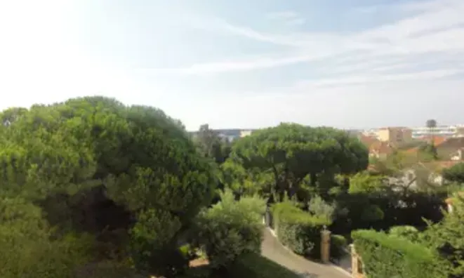 Недвижимость Villa Cannes: 9