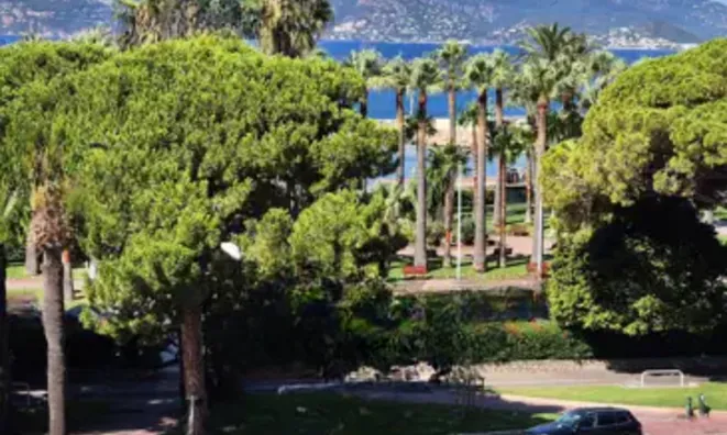 Недвижимость Villa Cannes: 12