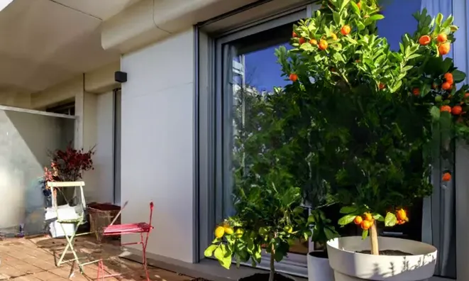 Недвижимость Villa Carnot Cannes: 1