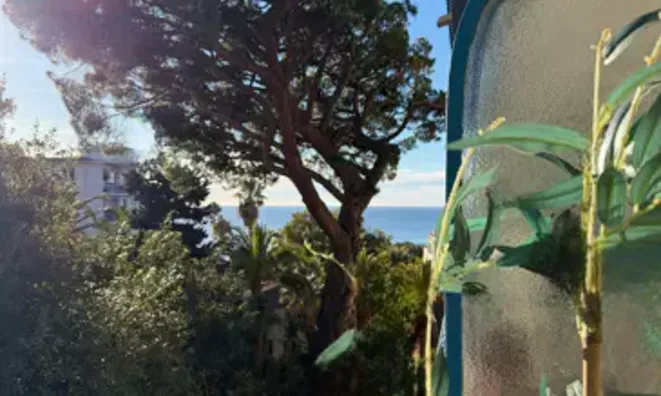 Недвижимость Property Cannes: 2