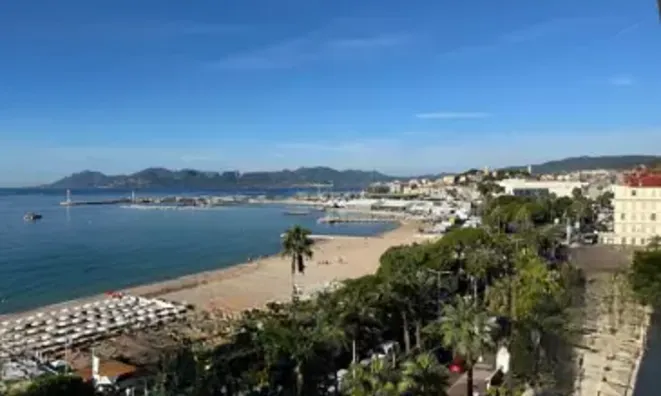 Недвижимость Villa Cannes: 2