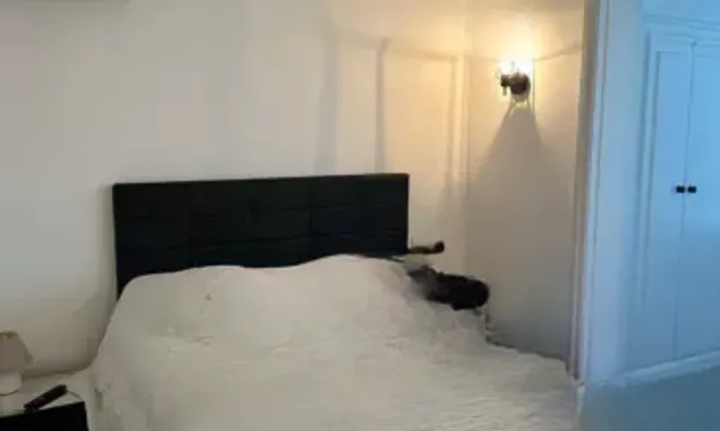 Недвижимость Villa Cannes: 8