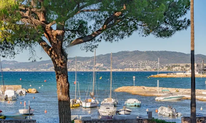 Недвижимость Villa Cannes: 3