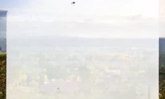 Недвижимость Villa Pointe Croisette: 8