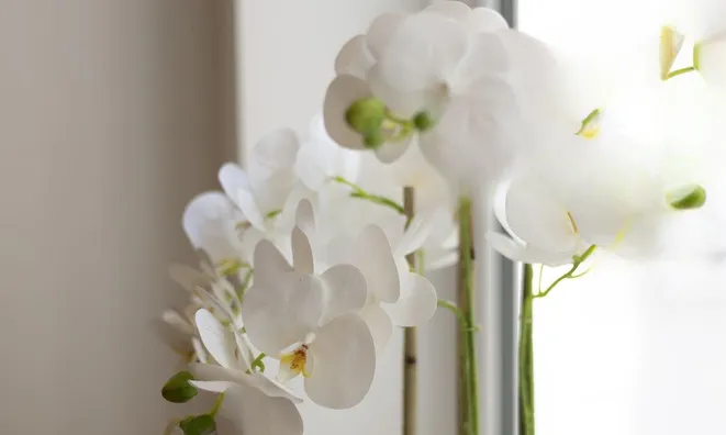 Недвижимость Old Church Street: 13