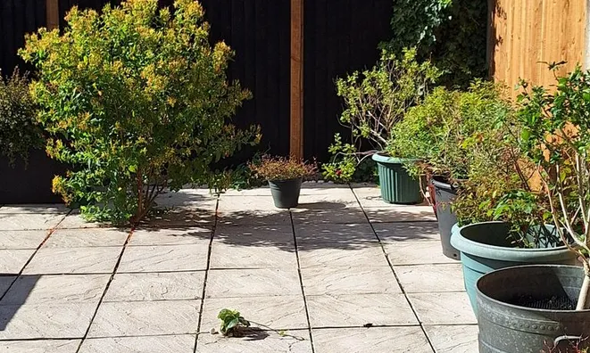 Недвижимость Blake Close: 8