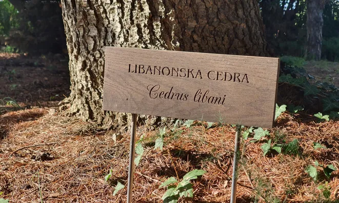 Недвижимость Дом Коломбан Коломбано: 25
