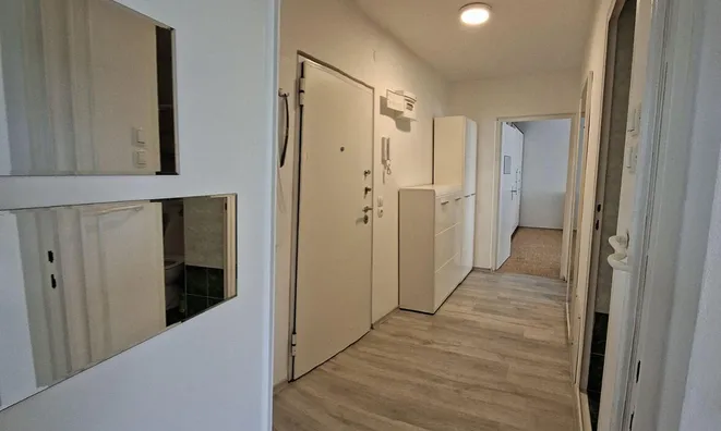 Недвижимость Квартира в Новом Дравле: 11