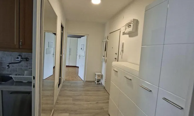 Недвижимость Квартира в Новом Дравле: 12