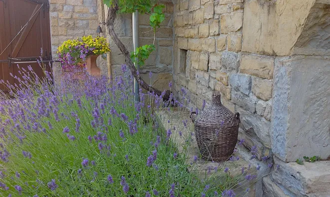 Недвижимость Дом, Тополовец: 11