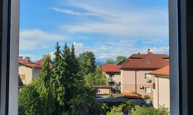 Недвижимость Дом Шишка: 7