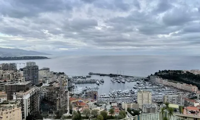 Недвижимость Apartment Monaco, Moneghetti: 11