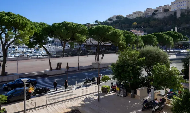 Недвижимость Apartment Monaco, Port: 2