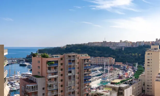 Недвижимость Apartment Monaco, Moneghetti: 1