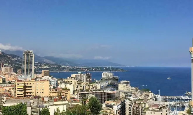 Недвижимость Apartment Monaco, Jardin Exotique: 1