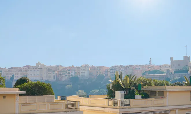 Недвижимость Apartment Monaco, Condamine: 15