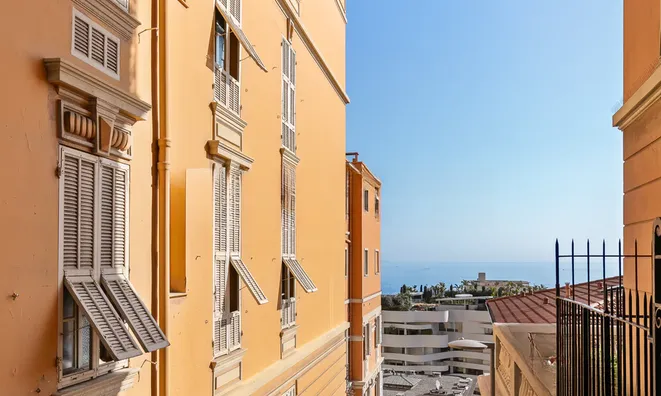 Недвижимость Apartment Monaco, Condamine: 14