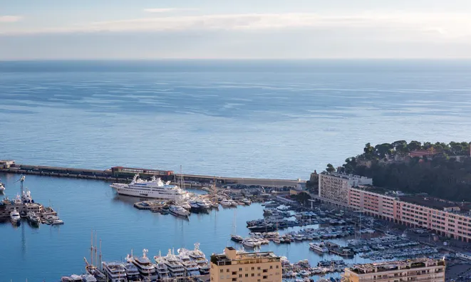 Недвижимость Apartment Monaco, Jardin Exotique: 10