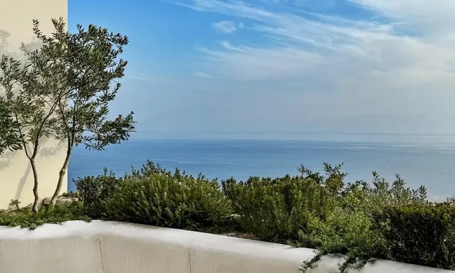 Недвижимость Apartment Monaco, Jardin Exotique: 10