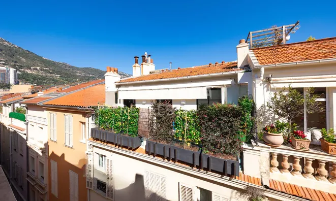 Недвижимость Apartment Monaco, Monaco-Ville: 4
