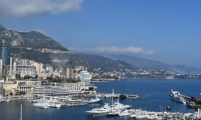 Недвижимость Apartment Monaco, La Rousse: 10