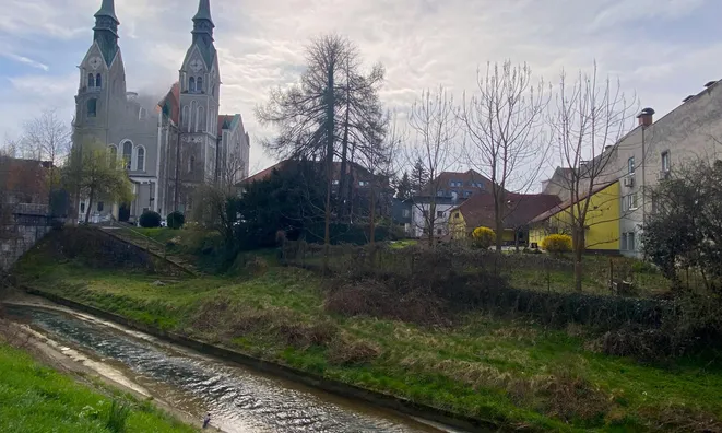 Недвижимость Дом, Другой Ново Трново: 23