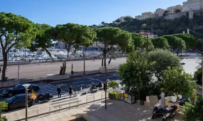 Недвижимость Apartment Monaco, Port: 4