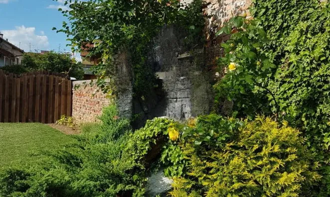 Недвижимость Дом, Средняя Шишка: 11