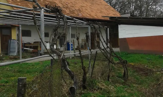 Недвижимость Поместье, новое фермерское Совиче.: 8