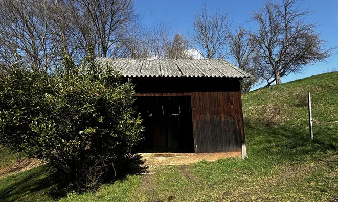 Недвижимость Усадьба Большой Брёбровник, Ормож: 5