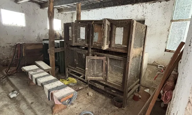 Недвижимость Усадьба Большой Брёбровник, Ормож: 10