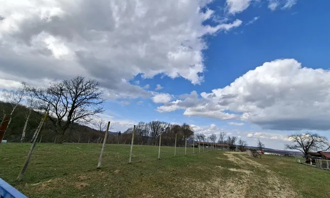 Недвижимость Усадьба, фермерское хозяйство Куршинцы: 3