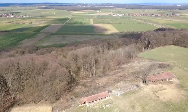 Недвижимость Усадьба, фермерское хозяйство Куршинцы: 4