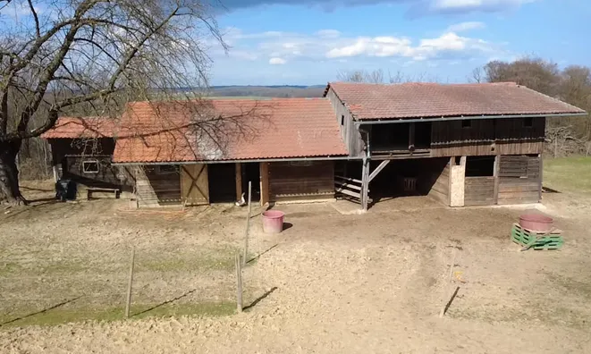 Недвижимость Усадьба, фермерское хозяйство Куршинцы: 8