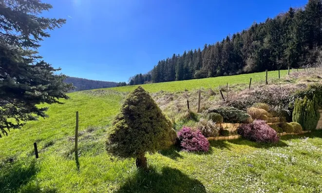 Недвижимость House 5 bedrooms for sale in Schoenfels: 5