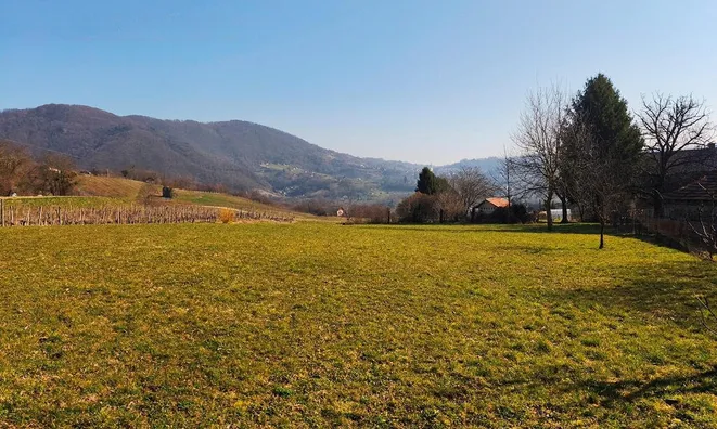 Недвижимость Дом, Орешье-на-Бизельском: 22