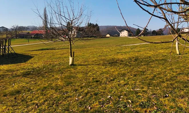 Недвижимость Дом, Орешье-на-Бизельском: 23