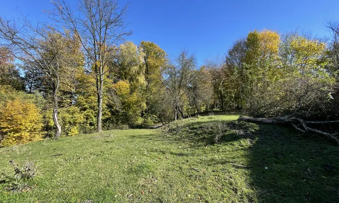 Недвижимость Дом, Цершак: 8