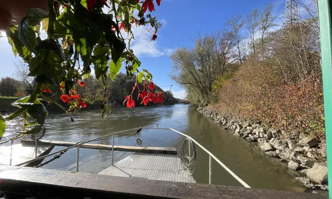 Недвижимость Дом, Цершак: 10