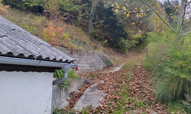 Недвижимость Дом в Печице: 6